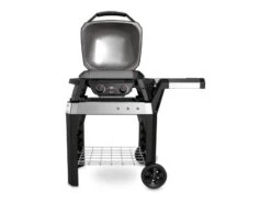 Weber Pulse 2000 Elektrische Barbecue Met Onderstel Black -Buiten Kamperen 20 3 weber pulse 2000 elektrische barbecue met onderstel black 82010053